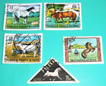 Zobrazit detail zboží: Poštovní známky : příroda - koně : Mongolia, Polska (Poštovní známky - témata)