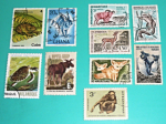 Zobrazit detail zboží: Poštovní známky : příroda - různé : Ghana, Cuba, CCCP, Mosambique, Bulgaria, Mauritanie, Cameroun, Malagasy, Francaise.. (Poštovní známky - témata)