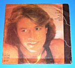 Andy Gibb - After Dark
